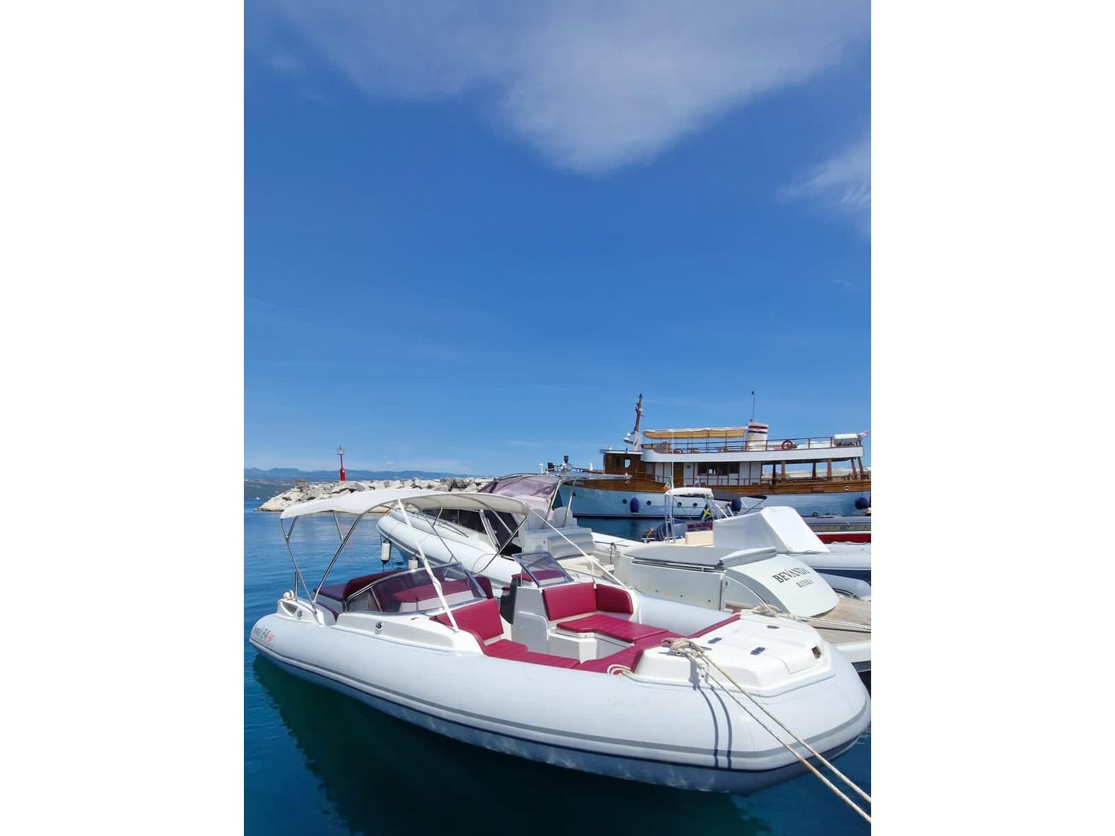 Marlin 24