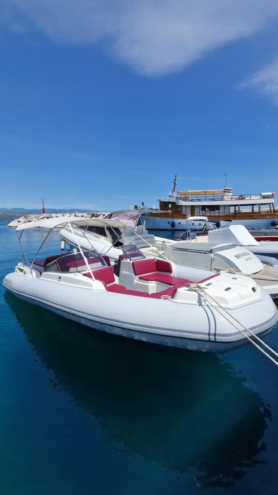 Marlin 24