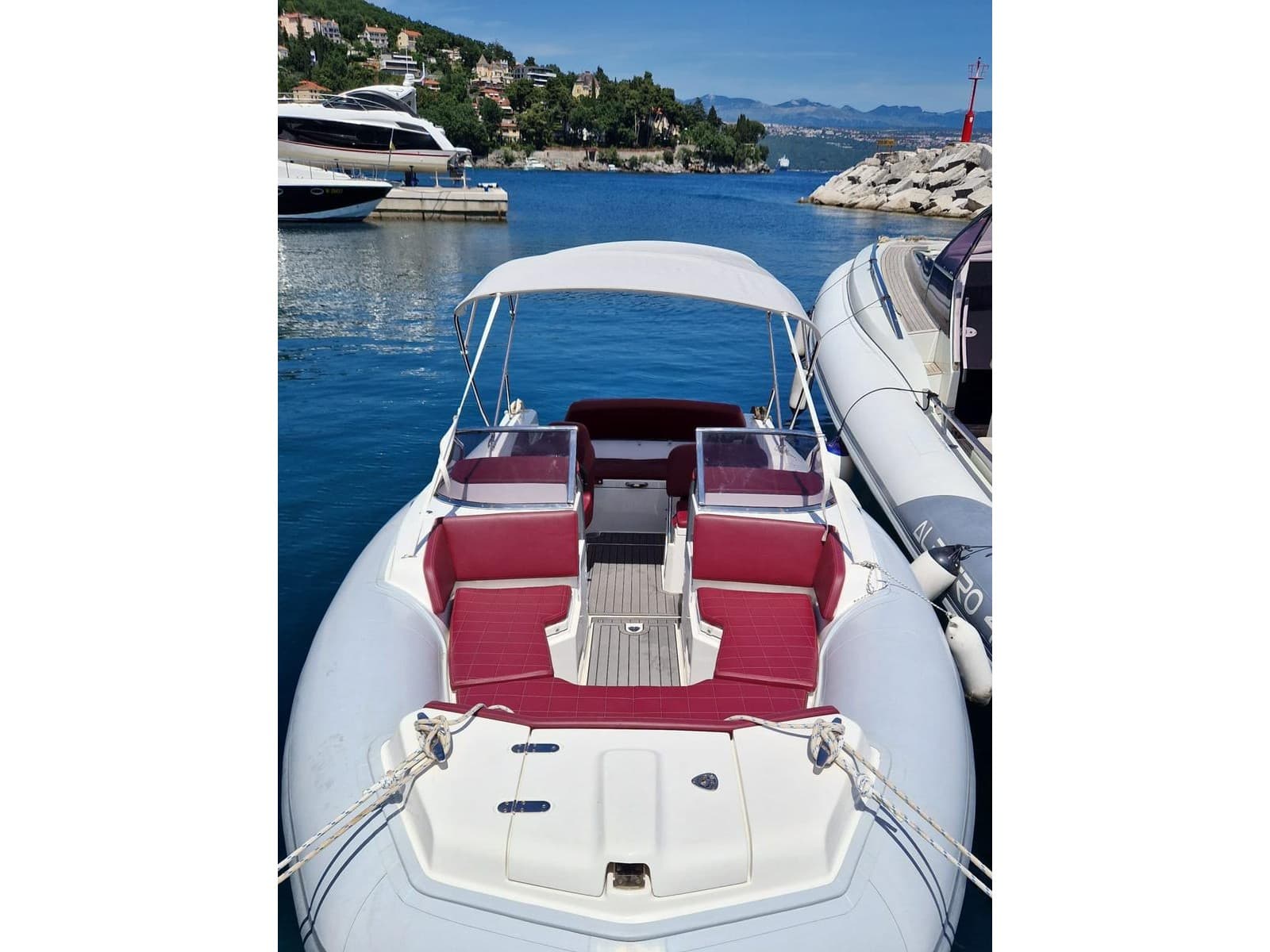 Marlin 24
