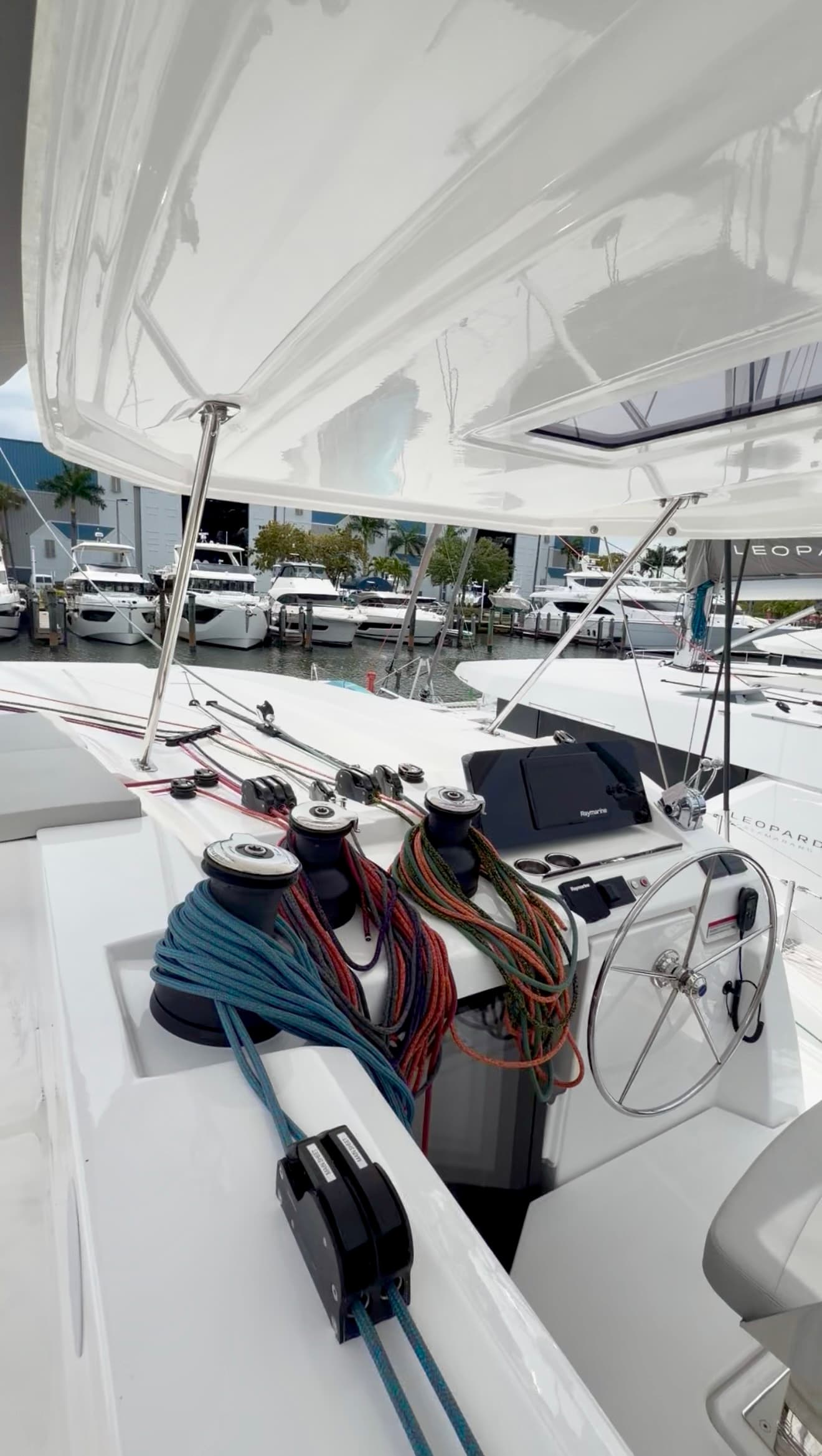 Nauti T's