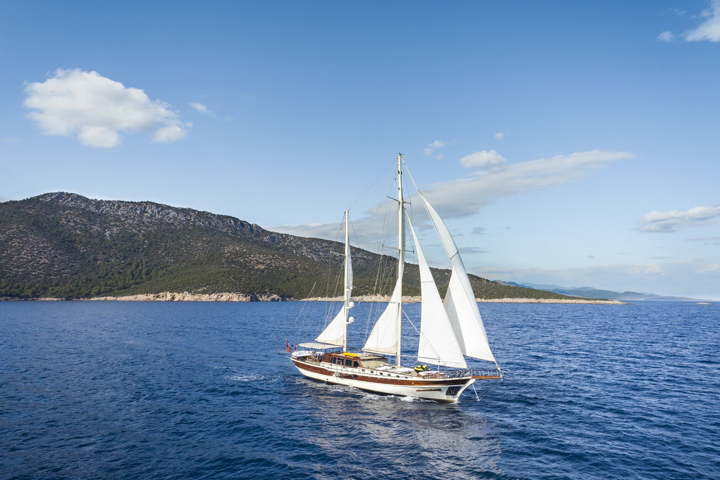 Estrella de Mar
