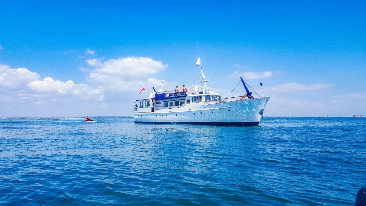 Seafin