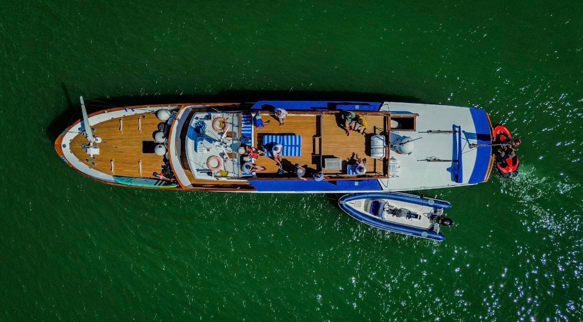 Seafin