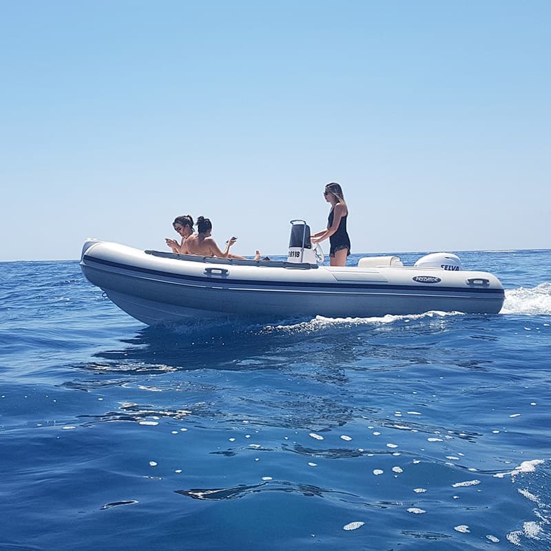 Predator 490