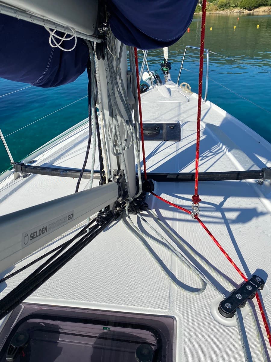 Angelica