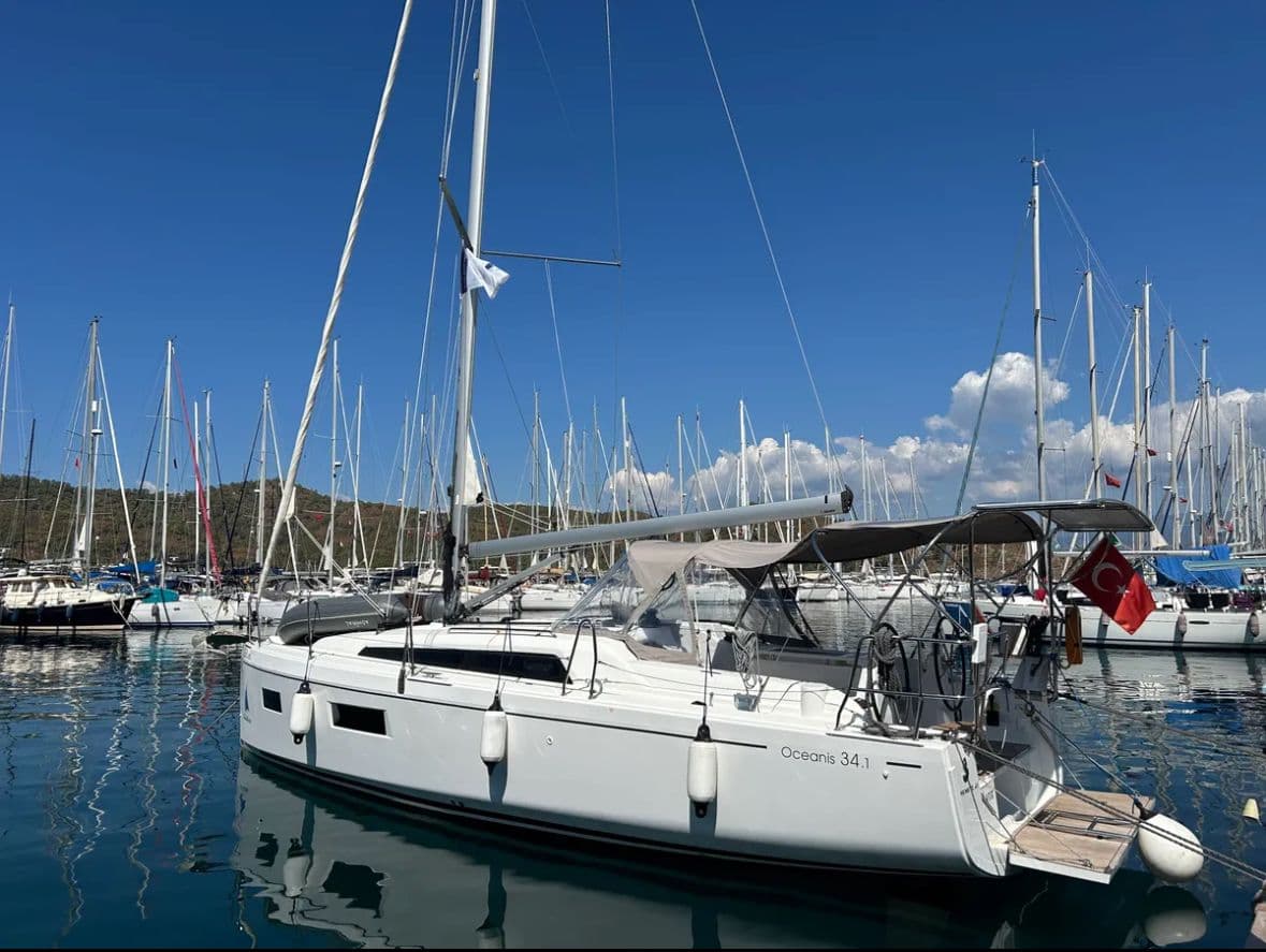 Sail Lynx
