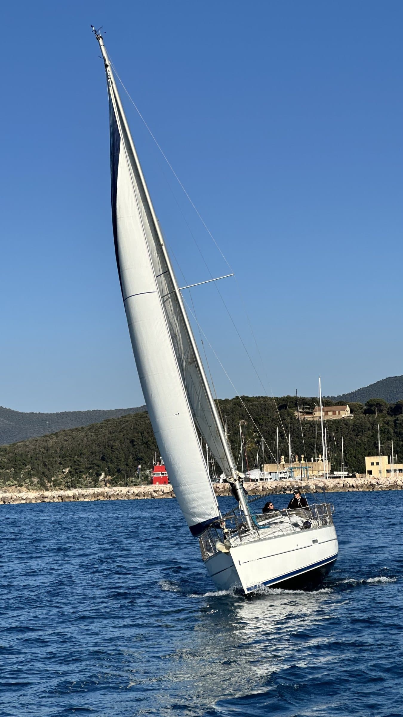 Cassiopea