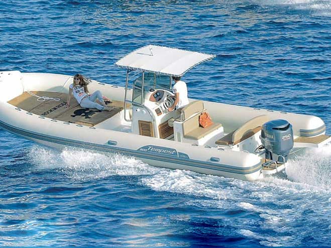 Maxi Rib