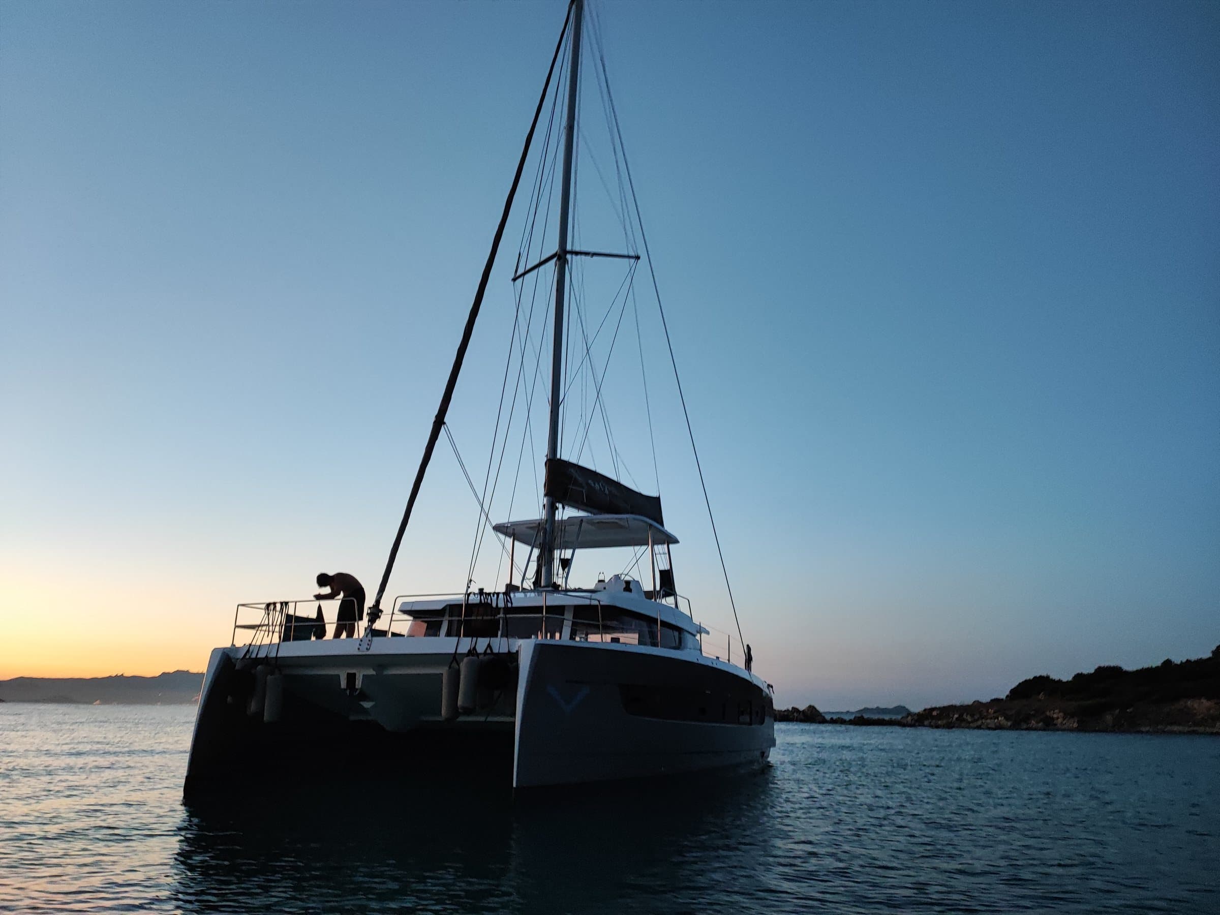 Delphinus